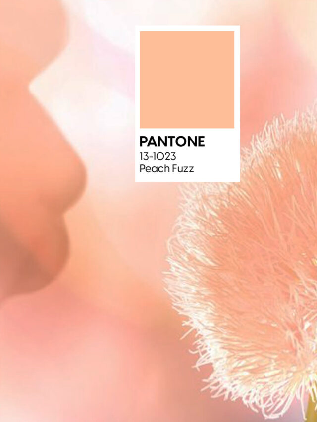 Pantone-13-1023-Peach-Fuzz